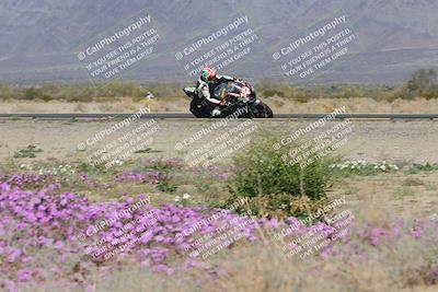 media/Feb-04-2023-SoCal Trackdays (Sat) [[8a776bf2c3]]/Turn 15 Inside Blooming (1050am)/